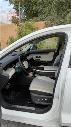 جیتۆر داشينگ